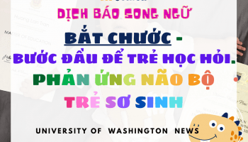 https://hpjunior.vn/2021/02/bat-chuoc-buoc-dau-de-tre-hoc-hoi-phan-ung-nao-bo-tre-so-sinh-voi-nhung-hanh-dong-cua-nguoi-lon/